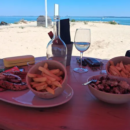 Vakantiehuis Cocon En Rez-de-jardin Entre Commerces, Plages Et Restos Les Pieds Dans Le Sable